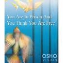 You Are in Prison and You Think You Are Free Audio Book